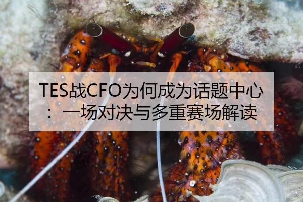 TES战CFO为何成为话题中心：一场对决与多重赛场解读